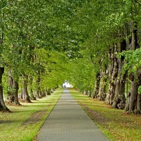 Barkley Reethaus Ferienhaus *